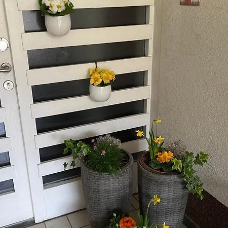 Apartmán Apartma Nomad Novo Mesto